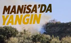 Manisa'da yangın çıktı! Havadan ve karadan müdahale başladı