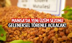 Manisa’da yeni üzüm sezonu geleneksel törenle açılacak!