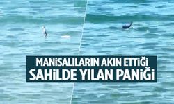 Manisalıların akın ettiği sahilde yılan paniği!