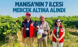 Manisa'nın 7 ilçesi mercek altına alındı