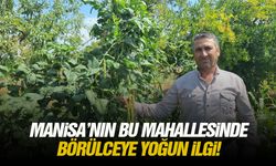 Manisa’nın bu mahallesinde börülceye yoğun ilgi!