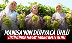 Manisa’nın dünyaca ünlü üzümünde hasat tarihi belli oldu!