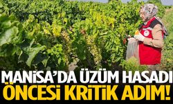 Manisa’da üzüm hasadı öncesi kritik adım!