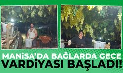 Manisa’da bağlarda gece vardiyası başladı!