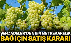 Şehzadeler'de 5 bin metrekarelik bağ için satış kararı