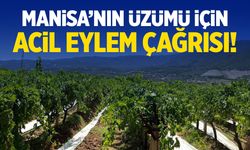 Manisa'nın üzümü için acil eylem çağrısı!