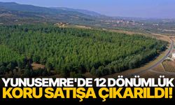 Yunusemre'de 12 dönümlük koru satışa çıkarıldı!