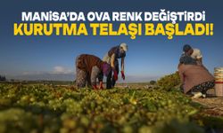 Manisa’da ova renk değiştirdi! Telaş başladı