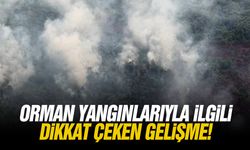 Orman yangınlarıyla ilgili dikkat çeken gelişme!