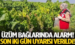Üzüm üreticilerine kritik uyarı: Son 2 gün!