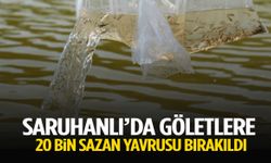 Saruhanlı’da göletlere 20 bin sazan yavrusu bırakıldı