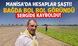 Manisa üzümünde hesaplar şaştı! Bağda bol göründü... Sergide kayboldu!