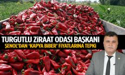 Turgutlu Ziraat Odası Başkanı Şenol’dan kapya biber fiyatlarına tepki!