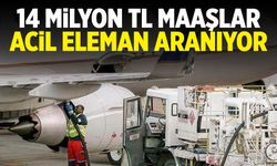 Üniversite okumadan yıllık 14 milyon TL kazanıyorlar!