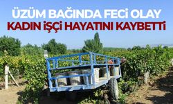 Üzüm bağında acı olay! Kadın işçi hayatını kaybetti
