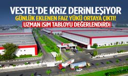 Vestel’de kriz büyüyor… Borca günlük eklenen faiz yükü ortaya çıktı!