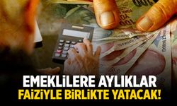 Yargıtay'dan emekli kararı! Faiziyle yatacak...
