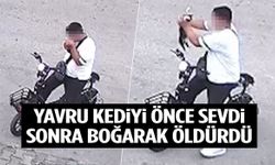 Yavru kediyi önce sevdi, sonra boğarak öldürdü!