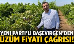 YENİ Parti’li Başevirgen’den üzüm fiyatı çağrısı!