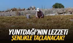 Yuntdağı’nın lezzeti şenlikle taçlanacak! Tarih belli oldu…