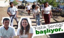 Manisa'da 'Fıstık Şenliği' başlıyor