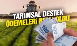 2026-2027 tarımsal destekleri belli oldu! Üreticiye verilecek rakamlar açıklandı