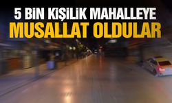5 bin kişilik mahalleye musallat oldular