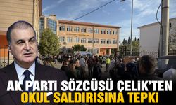 Ak Parti sözcüsü Çelik'ten okul saldırısına tepki