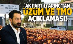 AK Partili Arınç'tan 'TMO ve üzüm' açıklaması!