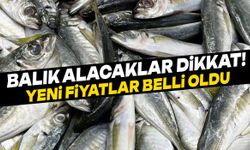 Balık alacaklar dikkat! Gördes’te yeni fiyatlar belli oldu