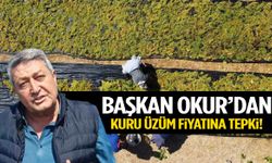 Başkan Okur’dan kuru üzüm fiyatına tepki: “TMO’yu beklemeliydi…”