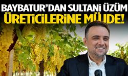 Baybatur’dan Sultani üzüm üreticilerine müjde!