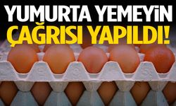 Yumurta yemeyin çağrısı yapıldı!