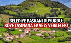 Belediye başkanı duyurdu: Köye taşınana bedava ev ve iş verilecek!
