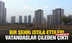 Bir şehri istila ettiler! Vatandaşlar çileden çıktı… Uyuyamıyorlar!