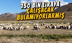 Bir şehrin gündemi bu: 150 bin liraya çalışan yok