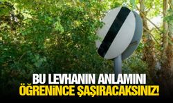 Bu levhanın anlamını öğrenince şaşıracaksınız!