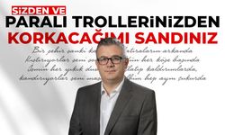 Büke: Sizden, paralı trollerinizden korkacağımı sandınız