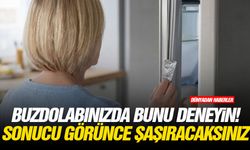 Buzdolabınızda bunu deneyin! Sonucu görünce şaşıracaksınız