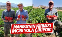 Çevre iller Manisa'nın kırmızı incisini bekliyor