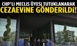 CHP’li Meclis Üyesi tutuklandı!