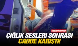 Çığlık sesleri sonrası cadde karıştı!