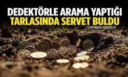 Dedektörle arama yaptığı tarlasında servet buldu!