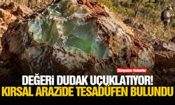 Değeri dudak uçuklatıyor! Kırsal arazide tesadüfen bulundu