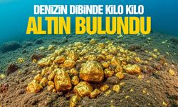 Denizin dibinden servet çıktı
