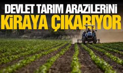 Devlet işlenmeyen tarım arazilerini kiralayacak!