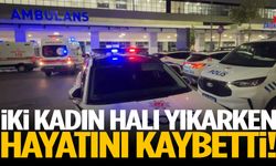 İki kadın halı yıkarken hayatını kaybetti!