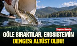 Göle bıraktılar, ekosistemin dengesi altüst oldu!