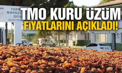 TMO kuru üzüm alım fiyatını açıkladı