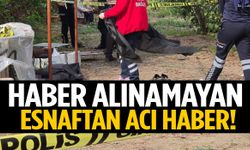 Haber alınamayan esnaftan acı haber! Tarlada…